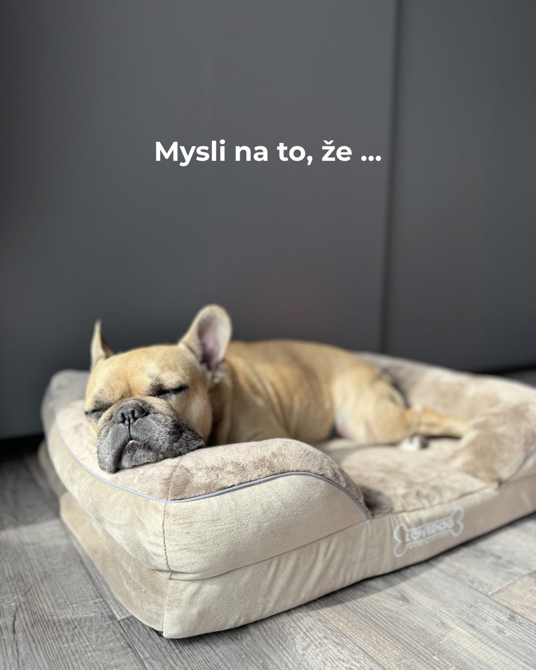 Kopie návrhu NÁŠ NEJPRODÁVANĚJŠÍ PELÍŠEK - 4